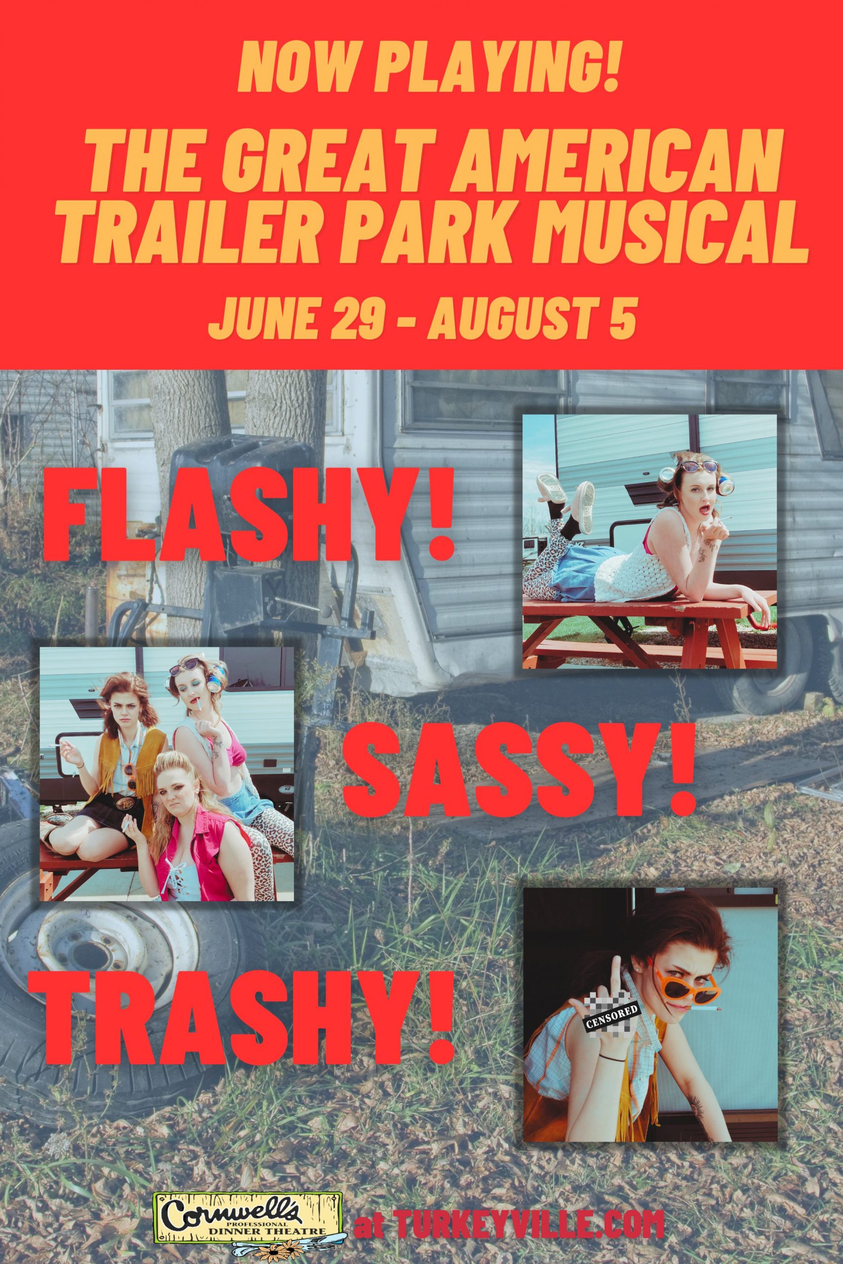 NOW PLAYING Poster Turkeyville